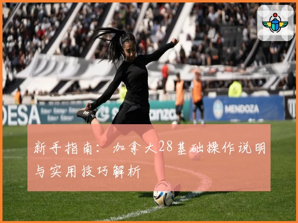 新手指南：加拿大28基础操作说明与实用技巧解析