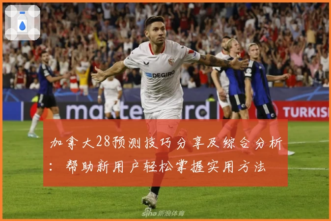 加拿大28预测技巧分享及综合分析：帮助新用户轻松掌握实用方法