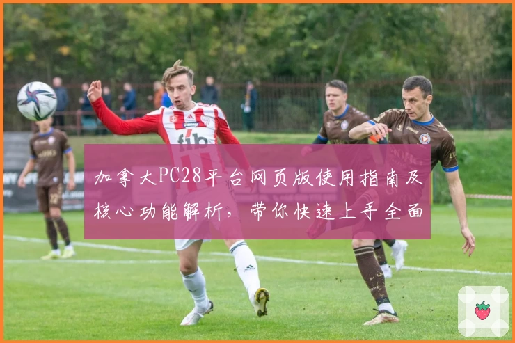 加拿大PC28平台网页版使用指南及核心功能解析,带你快速上手全面了解操作技巧