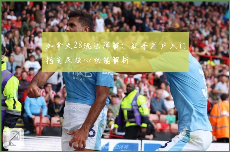 加拿大28玩法详解：新手用户入门指南及核心功能解析