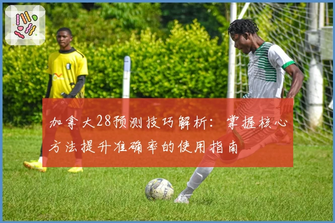加拿大28预测技巧解析：掌握核心方法提升准确率的使用指南