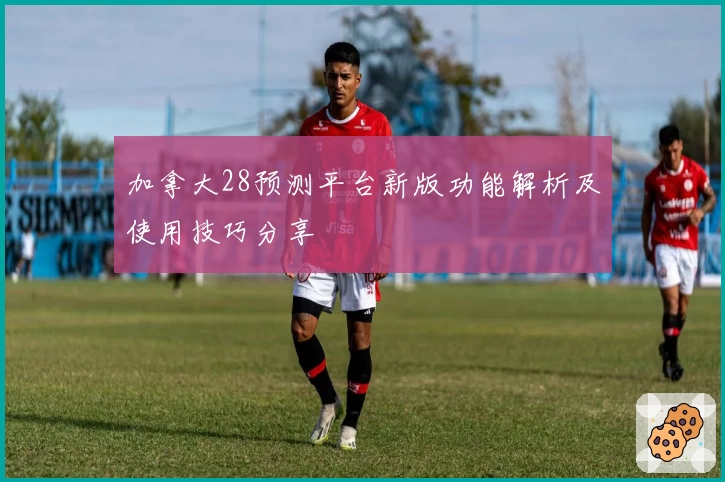 加拿大28预测平台新版功能解析及使用技巧分享