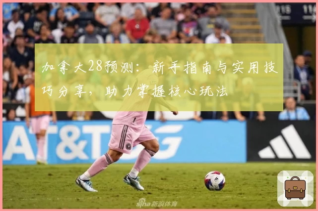 加拿大28预测:新手指南与实用技巧分享,助力掌握核心玩法