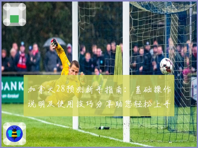 加拿大28预测新手指南：基础操作说明及使用技巧分享助您轻松上手