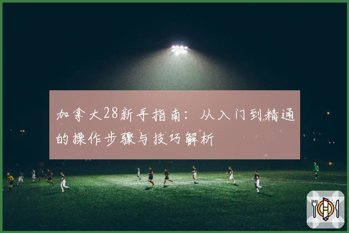 加拿大28新手指南：从入门到精通的操作步骤与技巧解析