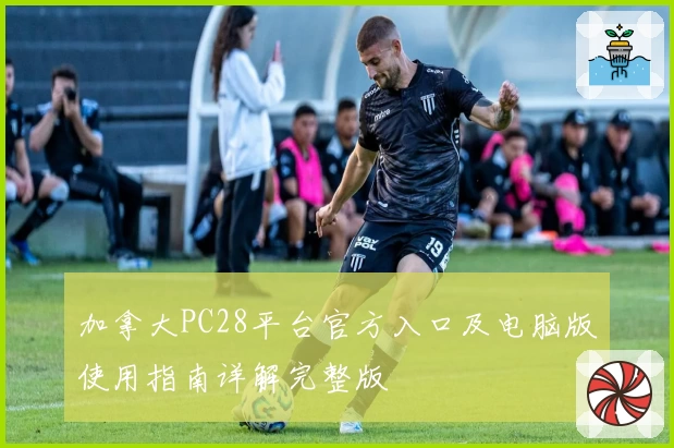 加拿大PC28平台官方入口及电脑版使用指南详解完整版