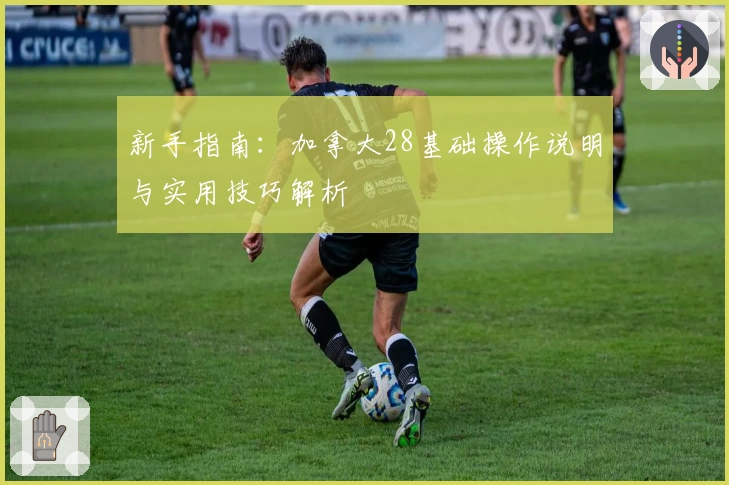 新手指南：加拿大28基础操作说明与实用技巧解析