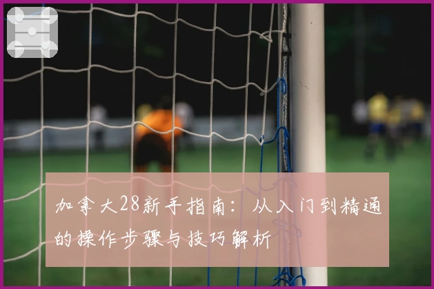 加拿大28新手指南：从入门到精通的操作步骤与技巧解析