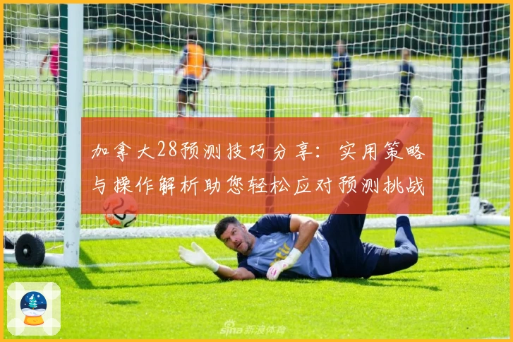 加拿大28预测技巧分享：实用策略与操作解析助您轻松应对预测挑战