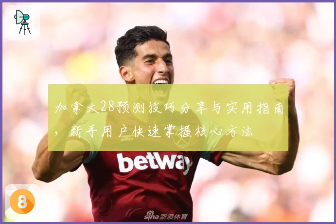加拿大28预测技巧分享与实用指南，新手用户快速掌握核心方法