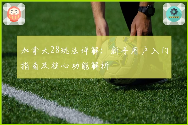 加拿大28玩法详解:新手用户入门指南及核心功能解析