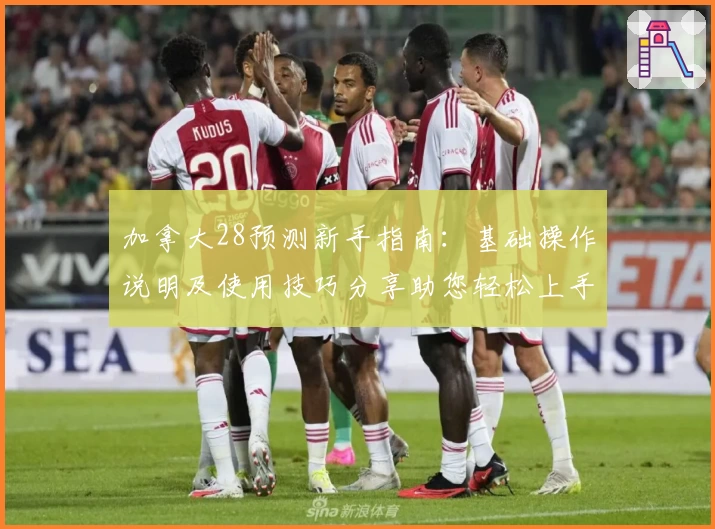 加拿大28预测新手指南:基础操作说明及使用技巧分享助您轻松上手