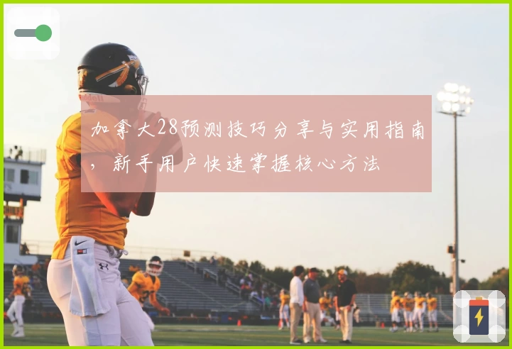 加拿大28预测技巧分享与实用指南,新手用户快速掌握核心方法