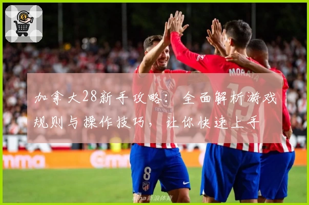 加拿大28新手攻略：全面解析游戏规则与操作技巧，让你快速上手